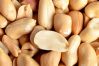 Peanuts
